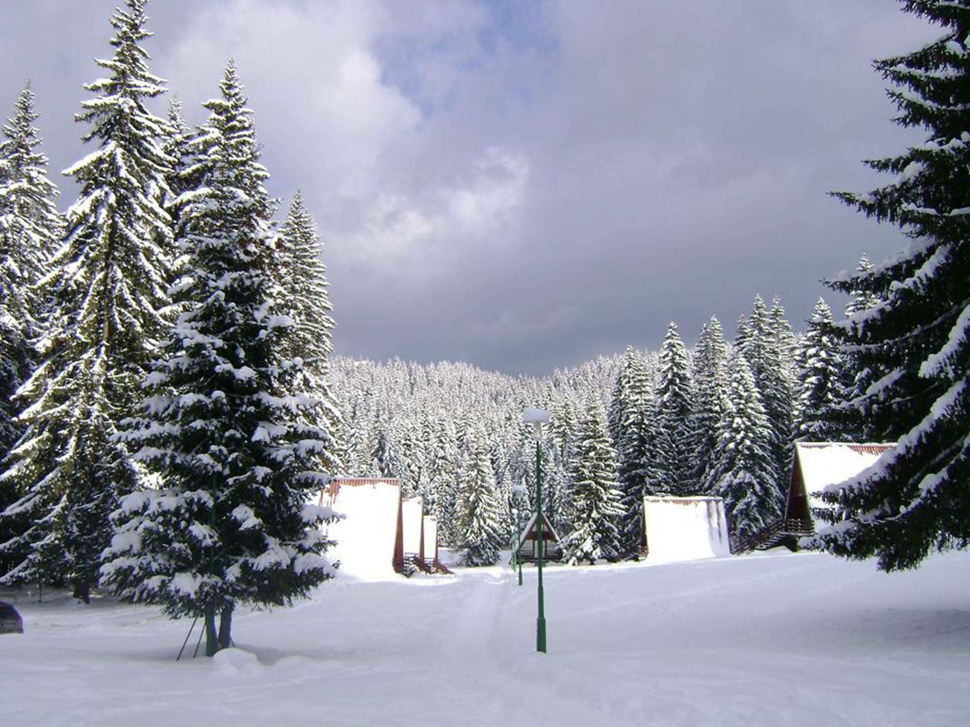 Complex Malina Pamporovo Villa Eksteriør billede