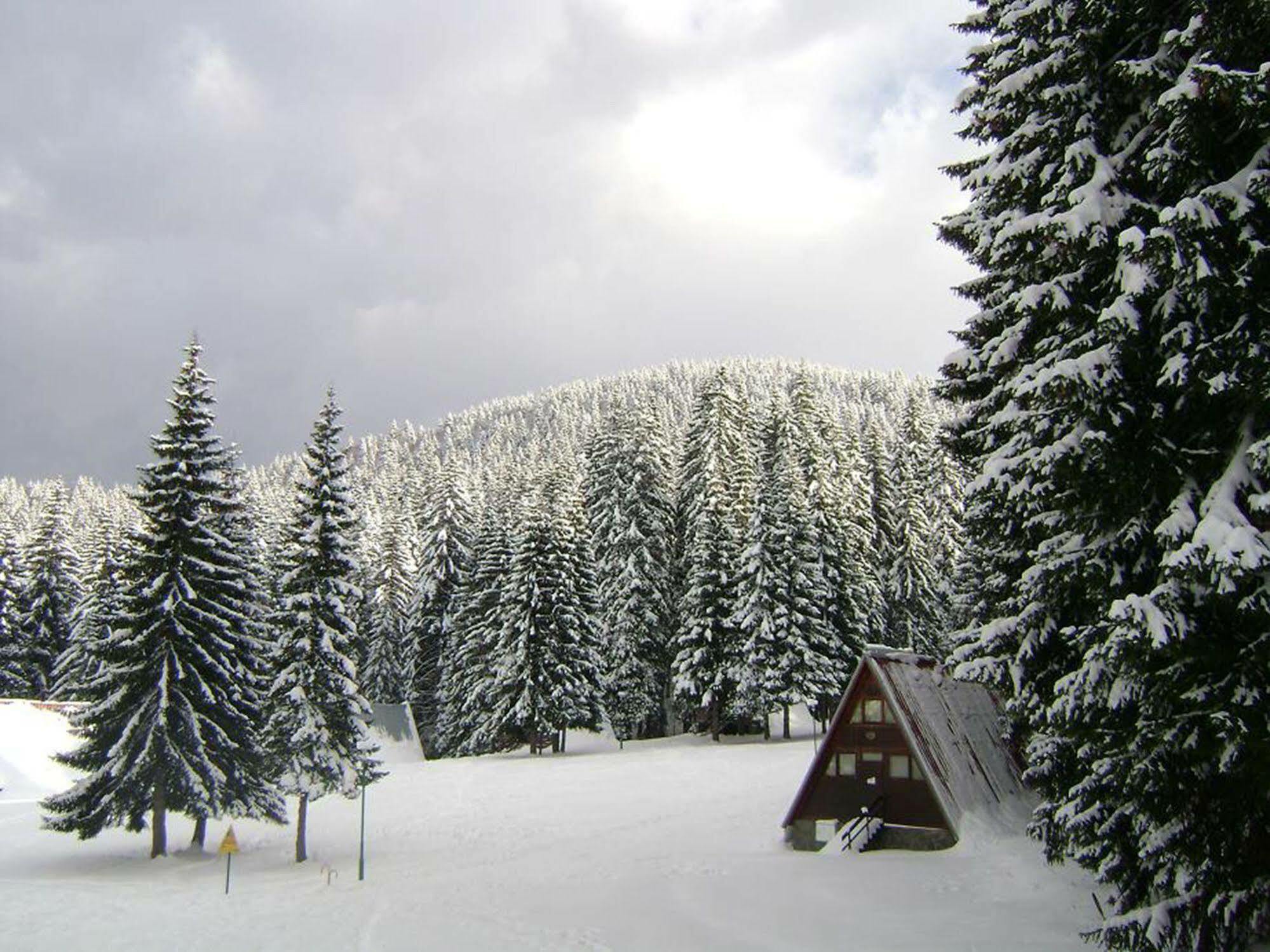 Complex Malina Pamporovo Villa Eksteriør billede